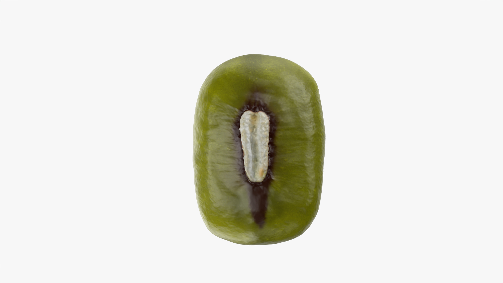 3D Mung Bean https://p.turbosquid.com/ts-thumb/iH/yLhlxQ/cE/mungbean/png/1765618438/1920x1080/turn_fit_q99/65f043e7ff1404fc8809c0a892db1b5c04ac4e38/mungbean-1.jpg