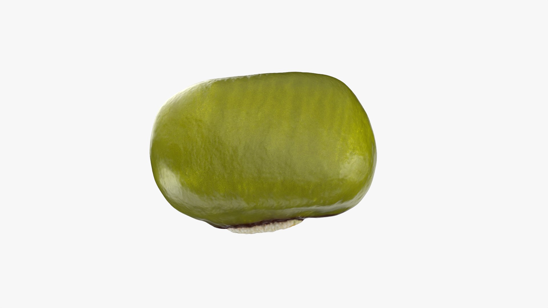 3D Mung Bean https://p.turbosquid.com/ts-thumb/iH/yLhlxQ/do/mungbean_0006/png/1764938043/1920x1080/fit_q87/af286d4efb609a2baadfcc17b09c4cf178bdfc86/mungbean_0006.jpg