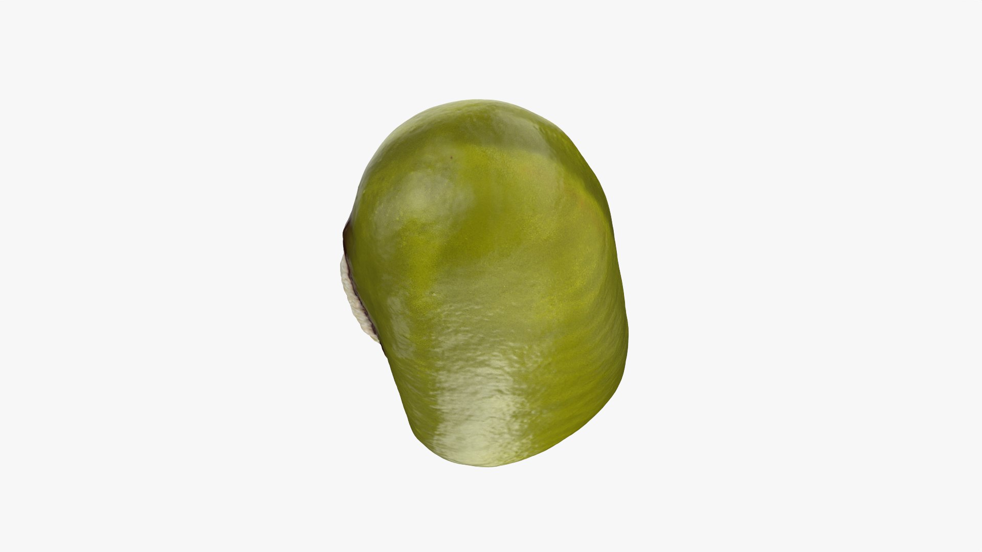 3D Mung Bean https://p.turbosquid.com/ts-thumb/iH/yLhlxQ/dt/mungbean_0005/png/1764938042/1920x1080/fit_q87/c5976b517bd067514bd2c7745acc3be41f04f3f2/mungbean_0005.jpg