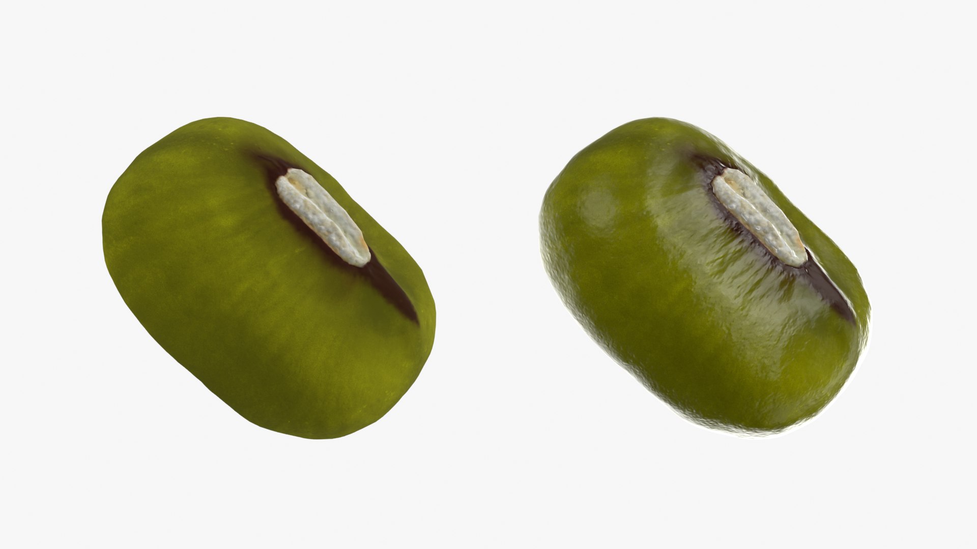 3D Mung Bean https://p.turbosquid.com/ts-thumb/iH/yLhlxQ/vF/mungbean_0001b/png/1764938038/1920x1080/fit_q87/100d74ef745de27cd7c93aca02dd40225e4c9a4d/mungbean_0001b.jpg
