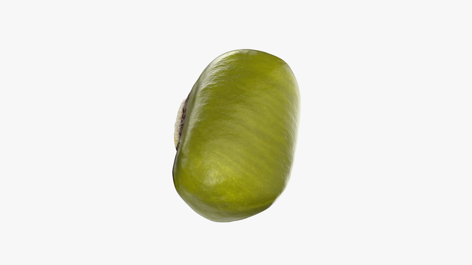 3D Mung Bean https://p.turbosquid.com/ts-thumb/iH/yLhlxQ/zg/mungbean_0011/png/1764938052/1920x1080/fit_q87/e0d2b157f92816f71f38aacc79ab22fbf0fd1374/mungbean_0011.jpg