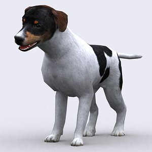 3ds max - dog