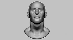 male head anatomy model