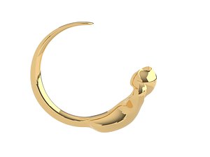 3D cat tail ring model