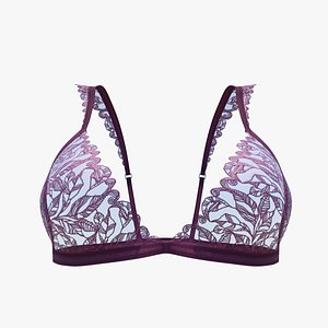 Triangle Bra SS75 3D model