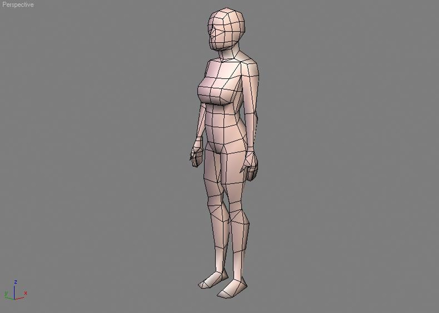 polys modeled 6 3d model