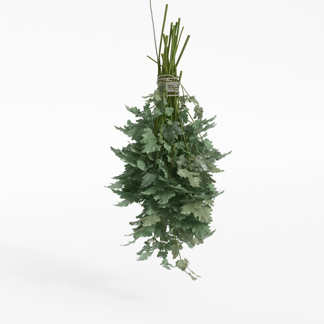 3D model fruits vegetables https://p.turbosquid.com/ts-thumb/iI/CYZne9/08IC8IlL/038/jpg/1606124876/1920x1080/fit_q87/e59b49863790a04114789a24a5d695c6ef203c4c/038.jpg