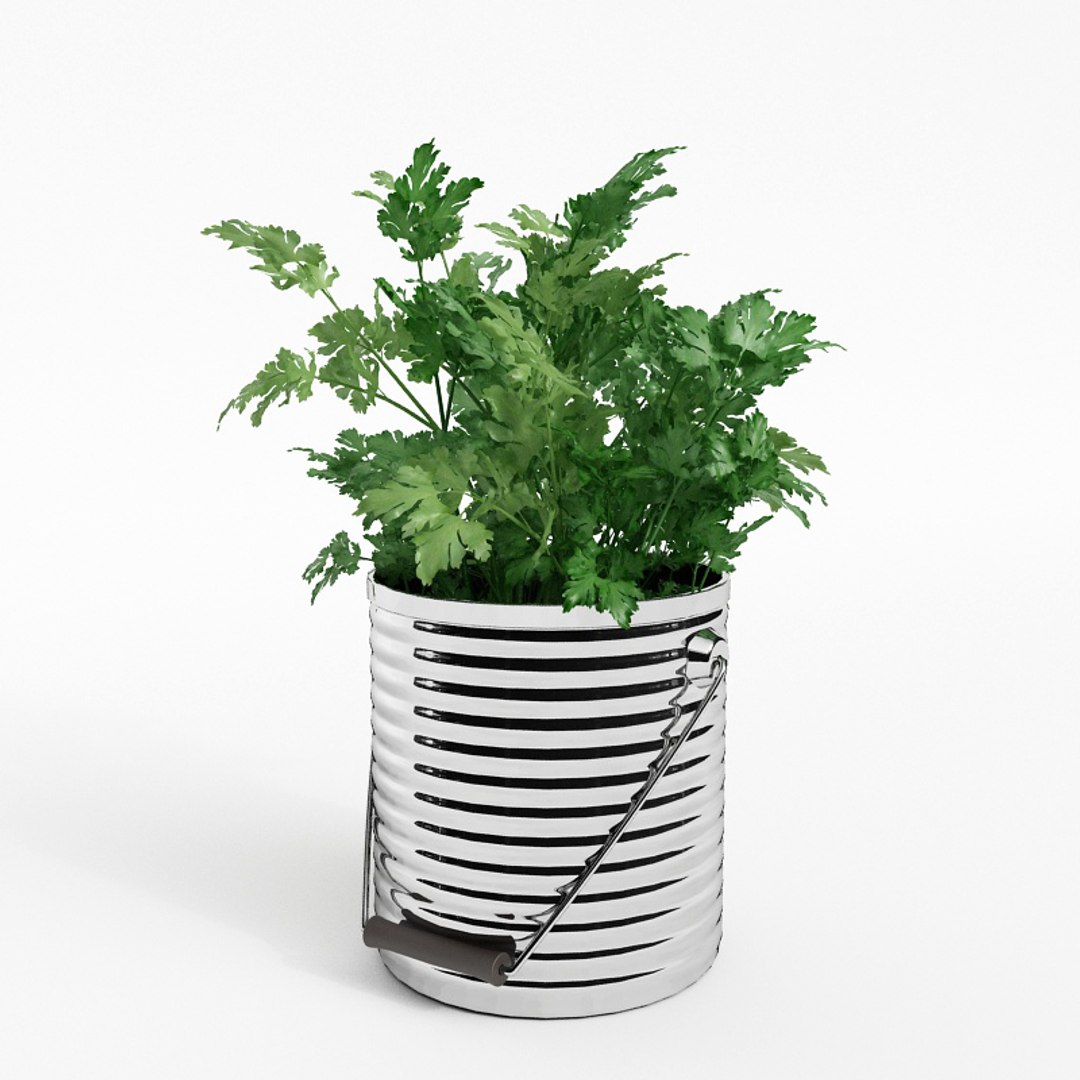 3D model fruits vegetables https://p.turbosquid.com/ts-thumb/iI/CYZne9/T3TAaG0q/036/jpg/1606124855/1920x1080/fit_q87/63519d659ea9f7a360b22cafefb5fc222ccd8051/036.jpg