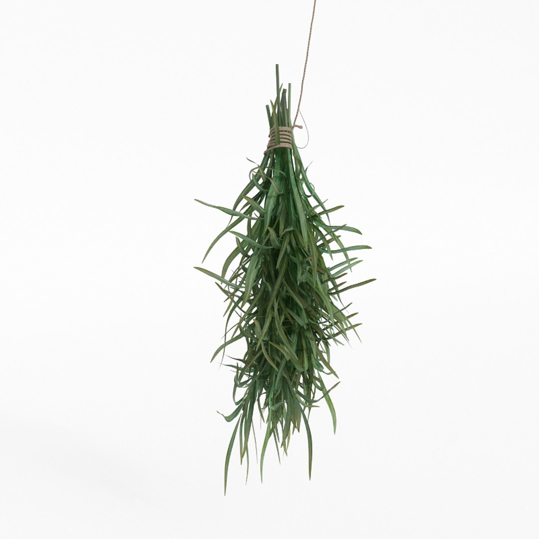 3D model fruits vegetables https://p.turbosquid.com/ts-thumb/iI/CYZne9/d4KiZZb3/039/jpg/1606124894/1920x1080/fit_q87/61a5c7bb86057a375cac677b6511af9bcf4a02ab/039.jpg
