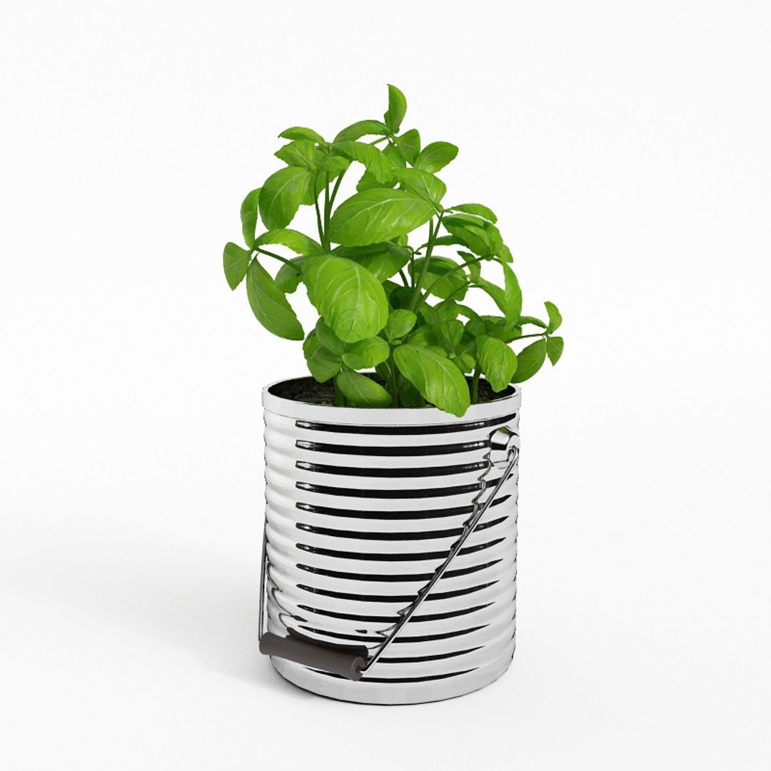 3D model fruits vegetables https://p.turbosquid.com/ts-thumb/iI/CYZne9/ewWhnTFM/037/jpg/1606124866/1920x1080/fit_q87/b31ed64be058d7985368f4575b55cc9da6532b4b/037.jpg