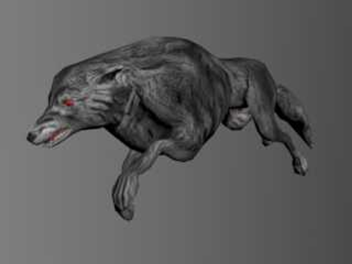 Max Ready Wolf