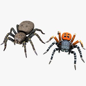 Ladybird Spider Male and Brown Female Set 3D model
