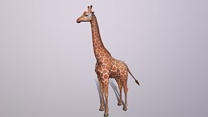 3D giraffe