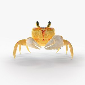 ghost crab rigged model