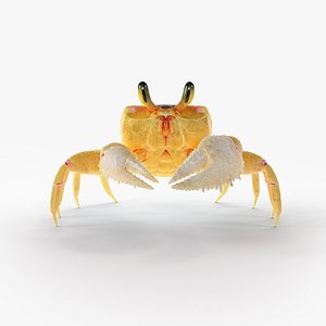 Ghost Crab Rigged