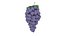 3D cartoon grape