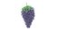 3D cartoon grape