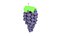 3D cartoon grape