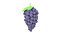 3D cartoon grape