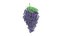 3D cartoon grape