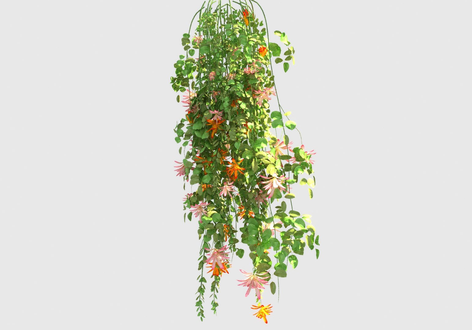 3D Hanging Flowers  Pack model https://p.turbosquid.com/ts-thumb/iI/W0x6Hd/2t/a45/jpg/1658337095/1920x1080/fit_q87/cae84053e3efaabed6572094db9f608f369ca607/a45.jpg
