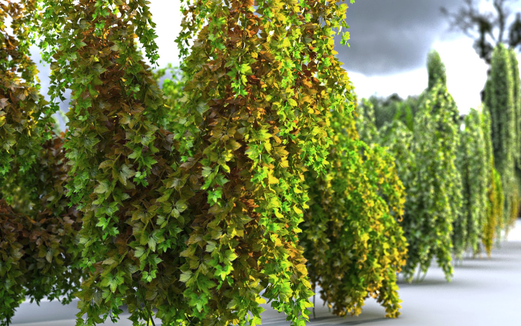 3D Hanging Flowers  Pack model https://p.turbosquid.com/ts-thumb/iI/W0x6Hd/8r/444445/jpg/1507221296/1920x1080/fit_q87/2a8a9f0ee04d3e9b903bdc700bf6d182ac62c2d3/444445.jpg