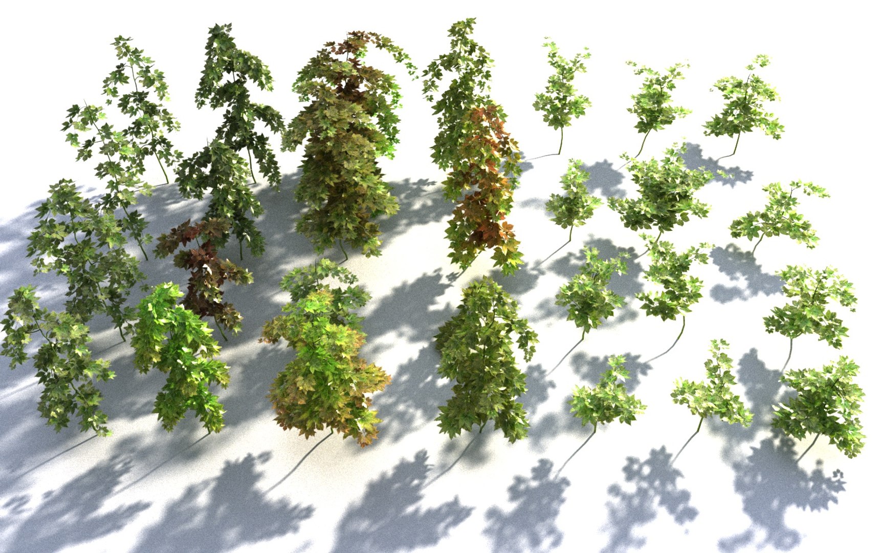 3D Hanging Flowers  Pack model https://p.turbosquid.com/ts-thumb/iI/W0x6Hd/9a/88989799/jpg/1507219365/1920x1080/fit_q87/42140a9546dcc21cc270fdb87876485607e178af/88989799.jpg