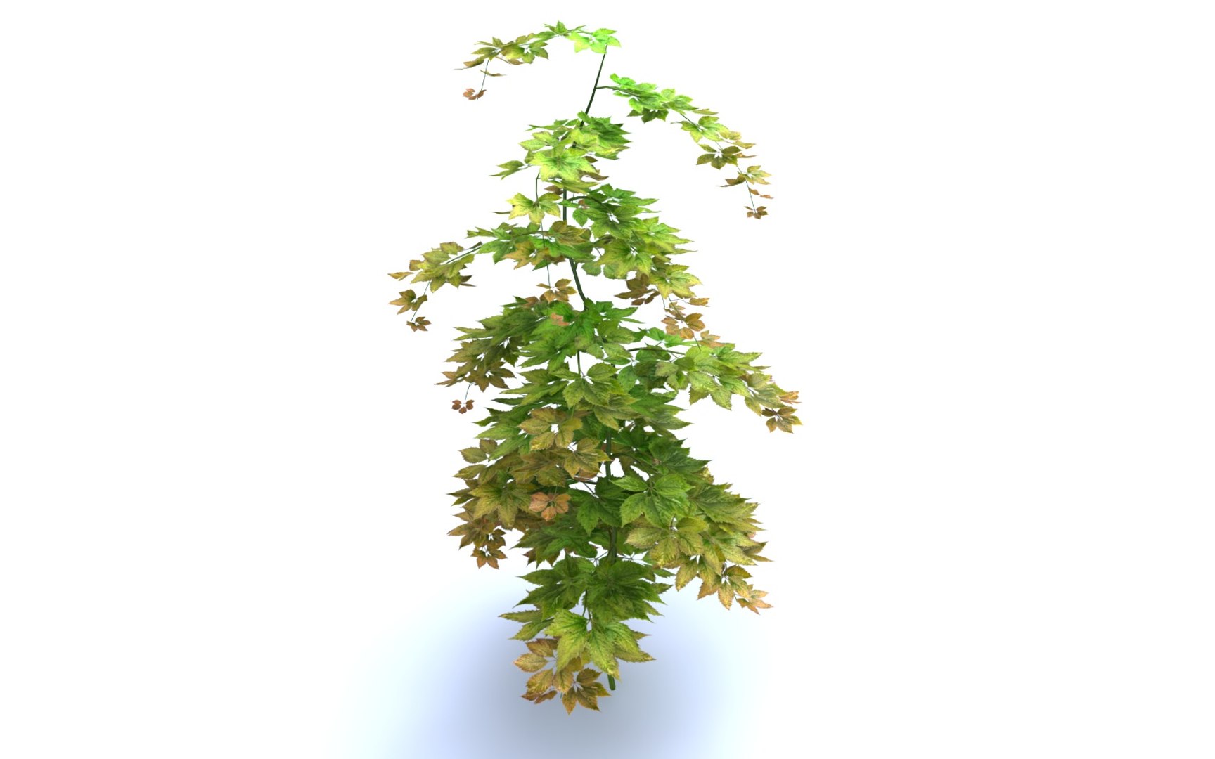 3D Hanging Flowers  Pack model https://p.turbosquid.com/ts-thumb/iI/W0x6Hd/BB/565656/jpg/1507219365/1920x1080/fit_q87/eee0752f6087499d9adcfda6201ca2bd17f15354/565656.jpg