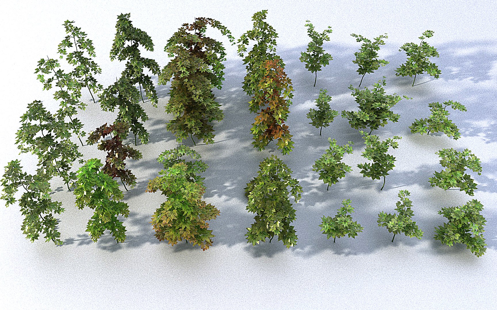 3D Hanging Flowers  Pack model https://p.turbosquid.com/ts-thumb/iI/W0x6Hd/CF/889989/jpg/1507219365/1920x1080/fit_q87/076146677c3919458444604cf7f0f22c5f15de45/889989.jpg