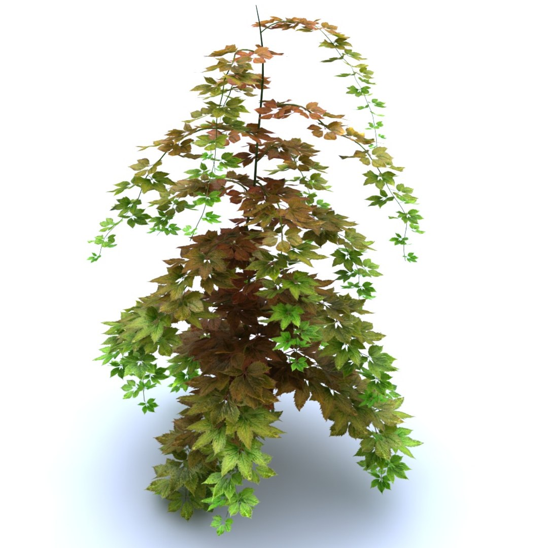 3D Hanging Flowers  Pack model https://p.turbosquid.com/ts-thumb/iI/W0x6Hd/ND/8978989/jpg/1507219365/1920x1080/fit_q87/b1888585e0aa67a2e162de8b32c4ee7a2689458b/8978989.jpg