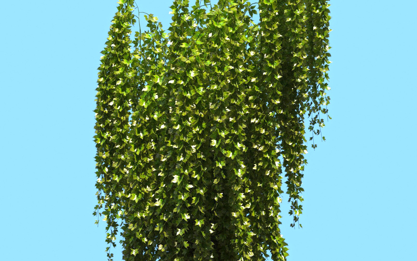 3D Hanging Flowers  Pack model https://p.turbosquid.com/ts-thumb/iI/W0x6Hd/PF/7878877/jpg/1507219365/1920x1080/fit_q87/1198e2e14347eeade5dee2327155da90502daa0c/7878877.jpg