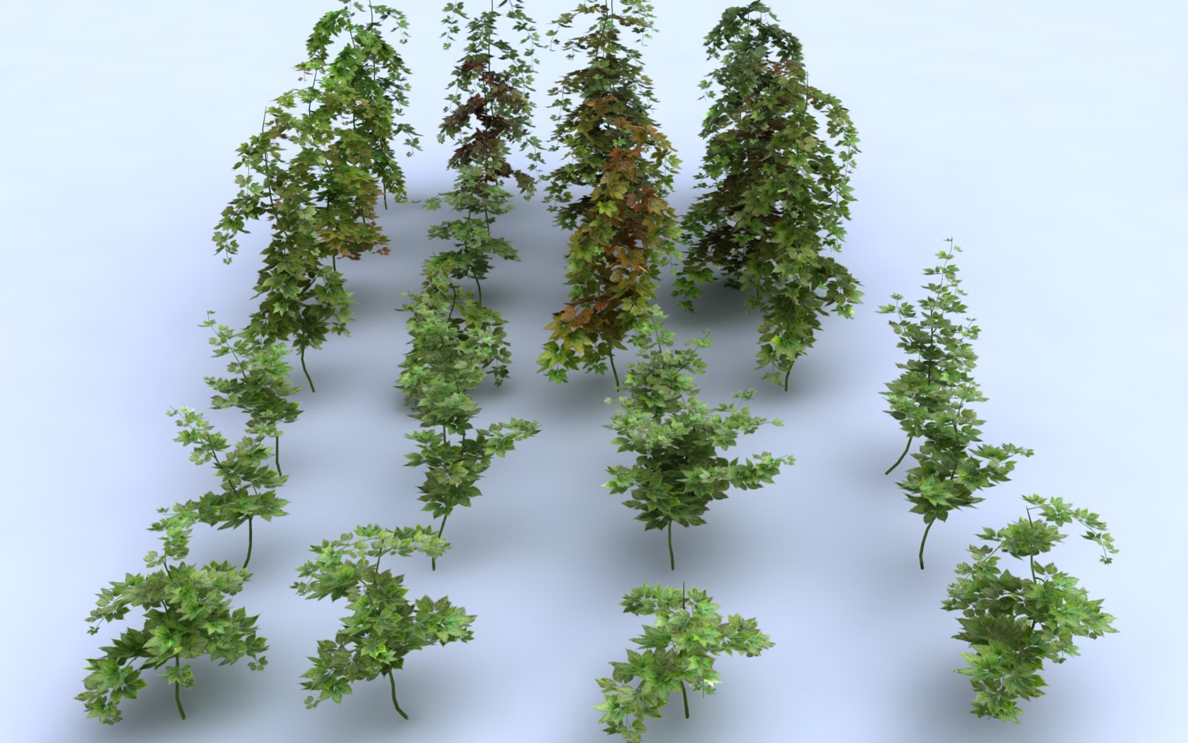 3D Hanging Flowers  Pack model https://p.turbosquid.com/ts-thumb/iI/W0x6Hd/UH/88978999/jpg/1507219365/1920x1080/fit_q87/fc943daa85ef9b5cb298bee45102ae8e5914ccec/88978999.jpg