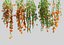 3D Hanging Flowers  Pack model
