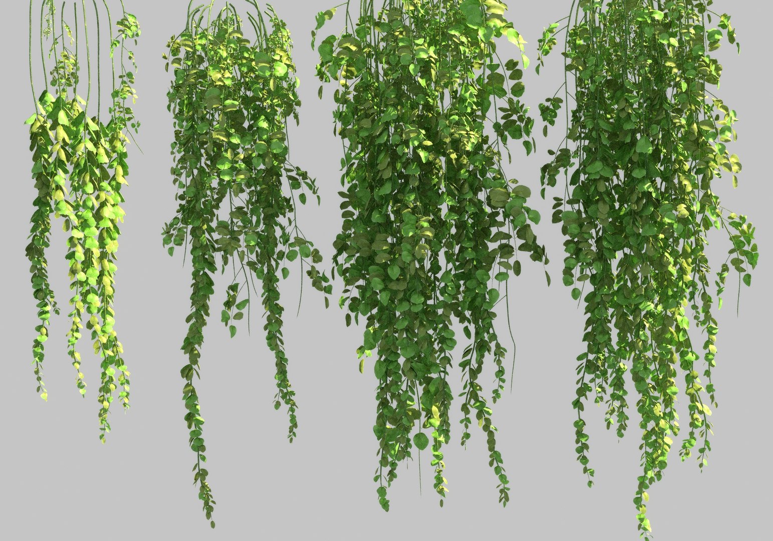 3d Hanging Flowers Pack Model - Turbosquid 1930396