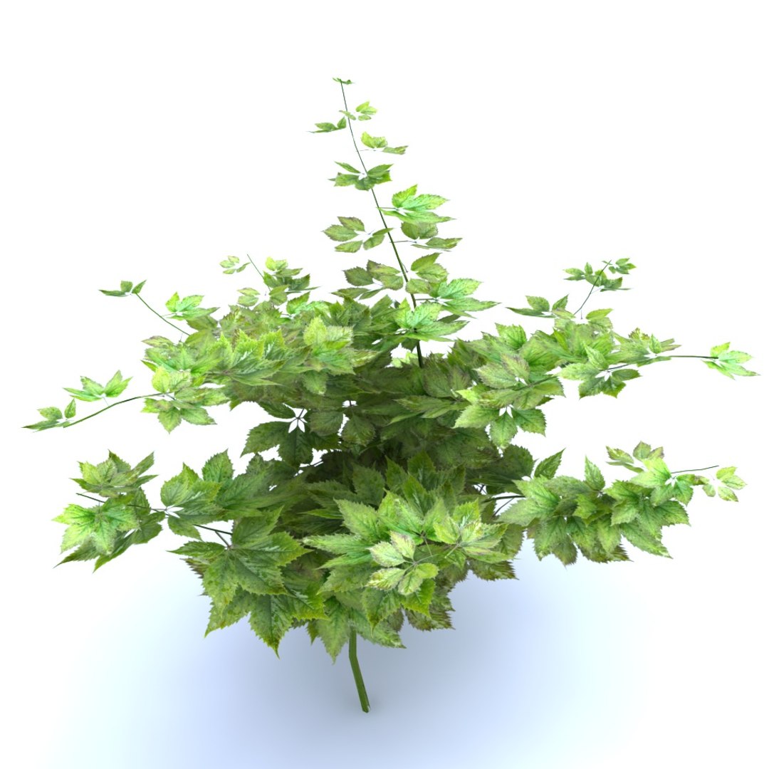 3D Hanging Flowers  Pack model https://p.turbosquid.com/ts-thumb/iI/W0x6Hd/ph/778678878/jpg/1507219365/1920x1080/fit_q87/d1dfb638ffb61b6ccf0f04f8da8e0fd8a63ba804/778678878.jpg