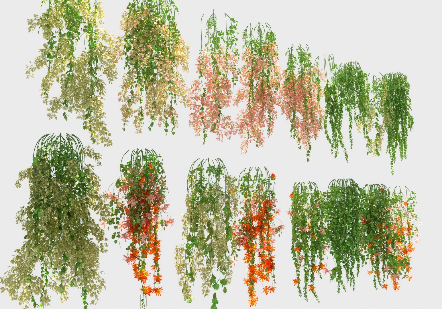 3D Hanging Flowers  Pack model https://p.turbosquid.com/ts-thumb/iI/W0x6Hd/sR/a1/jpg/1658337093/1920x1080/fit_q87/8a7cd4edc7fc0e04239102829cec236c28ff41dc/a1.jpg