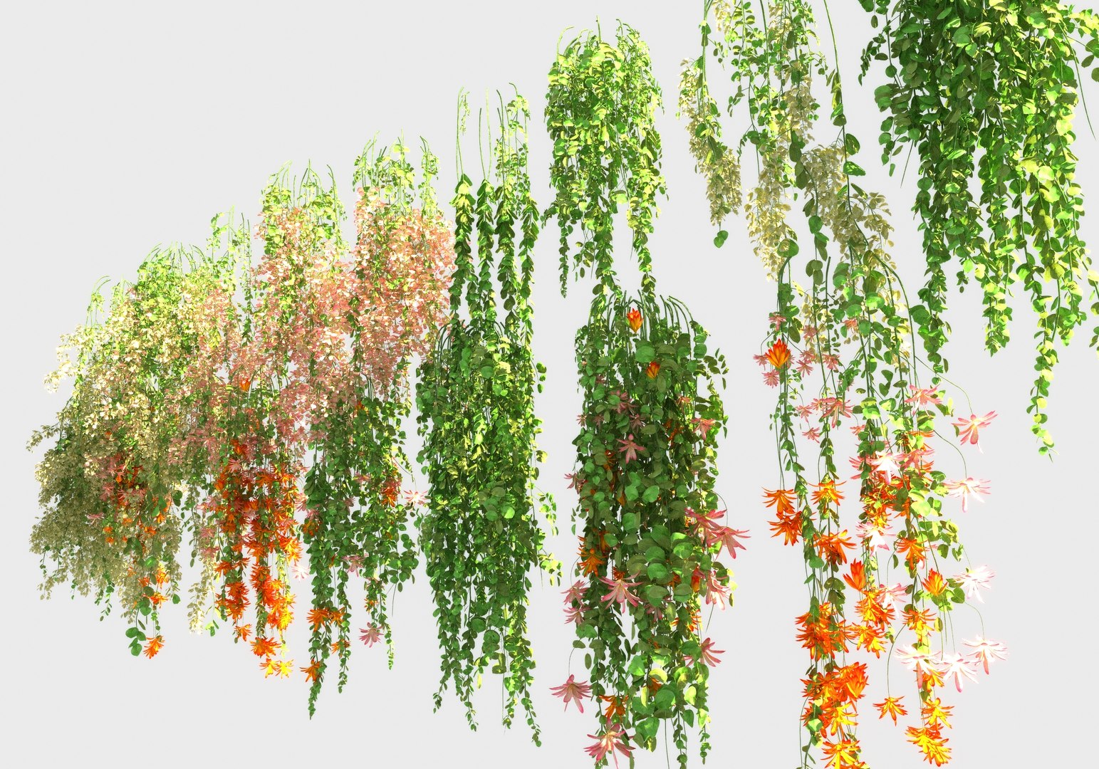 3D Hanging Flowers Pack Model - TurboSquid 1930396