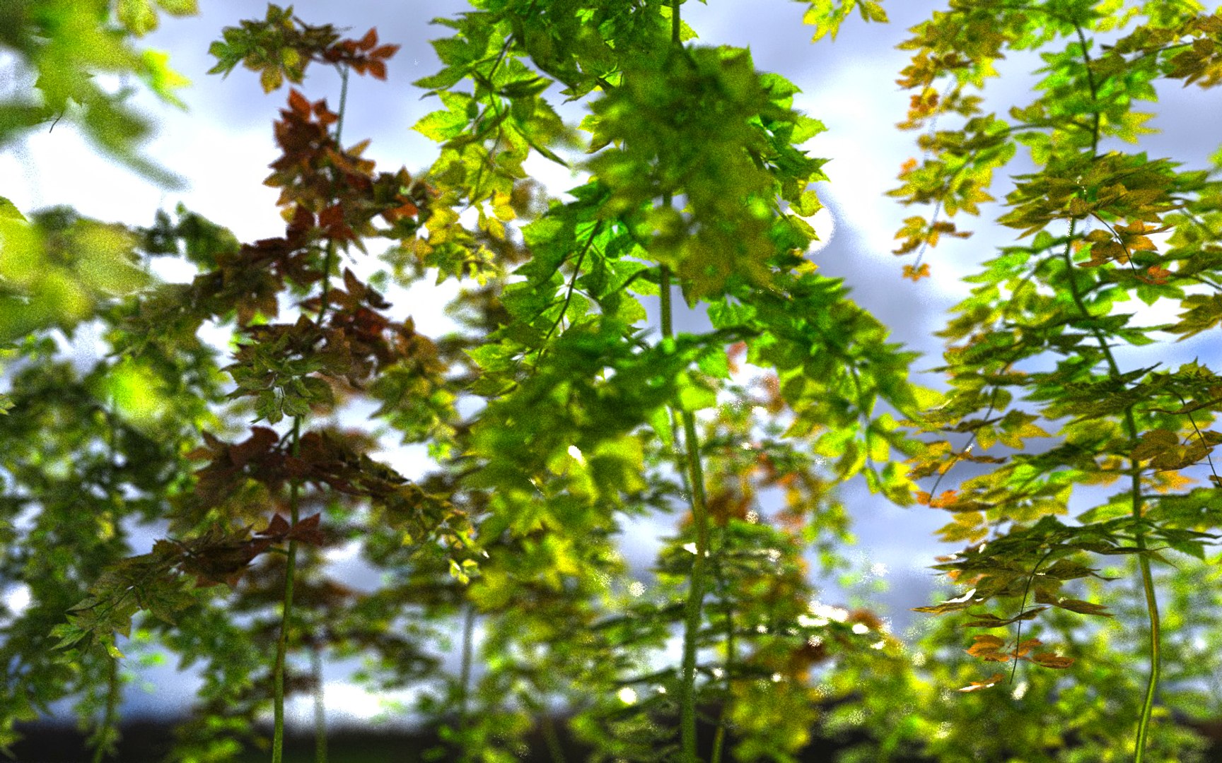 3D Hanging Flowers  Pack model https://p.turbosquid.com/ts-thumb/iI/W0x6Hd/ta/88988/jpg/1507219365/1920x1080/fit_q87/a27743751b1f44402189c3863b6c1fd5a3302015/88988.jpg