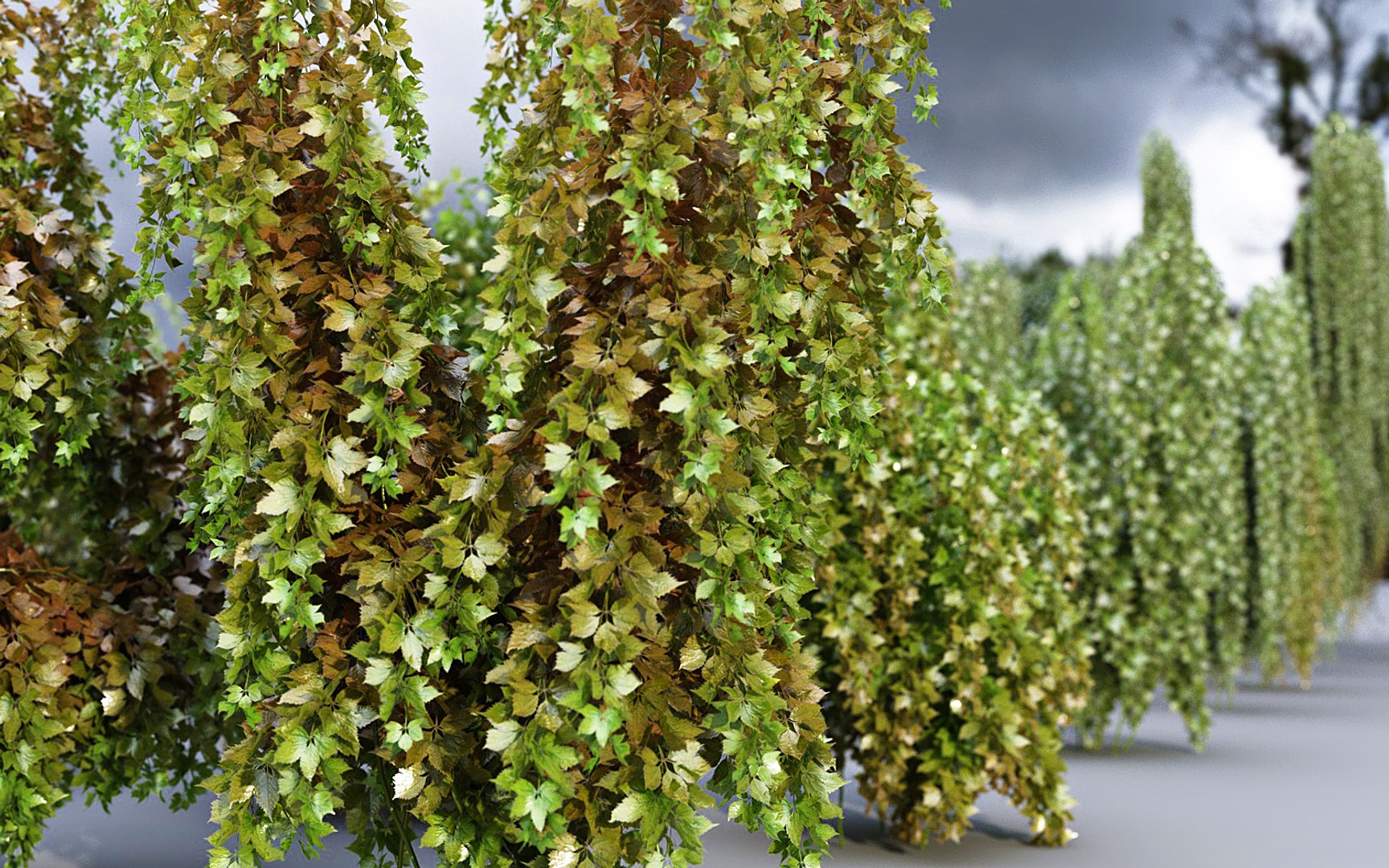 3D Hanging Flowers  Pack model https://p.turbosquid.com/ts-thumb/iI/W0x6Hd/uR/6666666/jpg/1507222841/1920x1080/fit_q87/64dc607248f191c1ef027406ac17c512f512dbe2/6666666.jpg