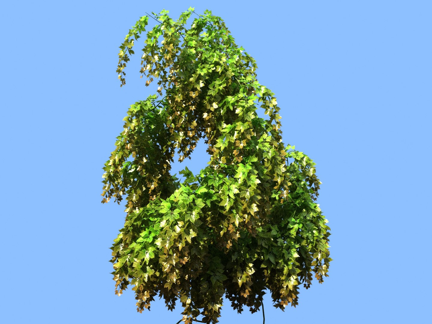 3D Hanging Flowers  Pack model https://p.turbosquid.com/ts-thumb/iI/W0x6Hd/uy/9909009/jpg/1507219365/1920x1080/fit_q87/e95fbb4abf686f61804dd1a72edcf9792930edb2/9909009.jpg