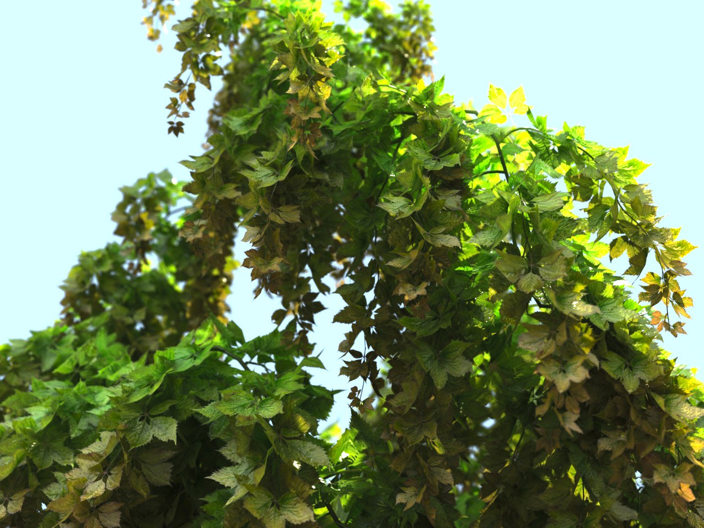 3D Hanging Flowers  Pack model https://p.turbosquid.com/ts-thumb/iI/W0x6Hd/vA/7787878877/jpg/1507221649/1920x1080/fit_q87/86add3ea84e8689d3b80a2fe17ee50121b786a78/7787878877.jpg