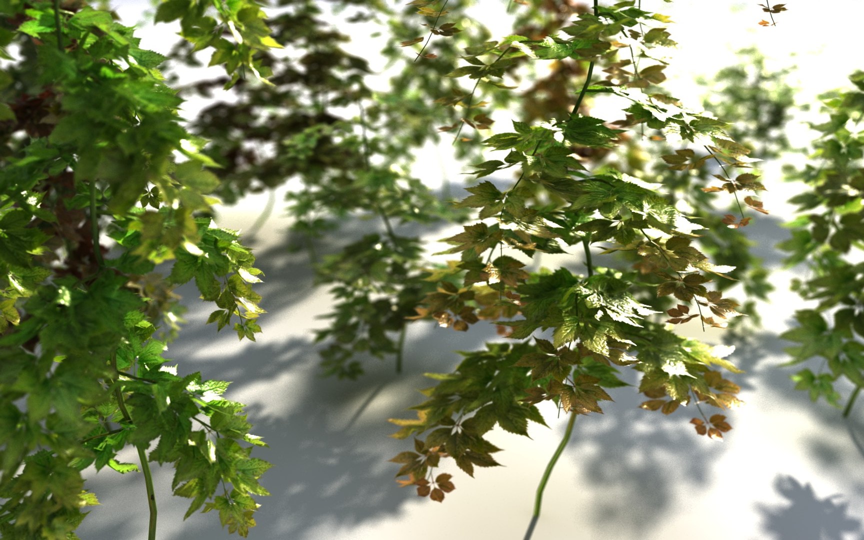 3D Hanging Flowers  Pack model https://p.turbosquid.com/ts-thumb/iI/W0x6Hd/zt/66778/jpg/1507219365/1920x1080/fit_q87/4025eff46c2bd821c2b874df3f95a4e591657952/66778.jpg