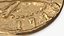 Treasure Pirate Gold Coin