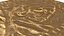 Treasure Pirate Gold Coin