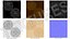 Treasure Pirate Gold Coin