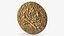 Treasure Pirate Gold Coin