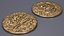 Treasure Pirate Gold Coin