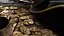 Treasure Pirate Gold Coin