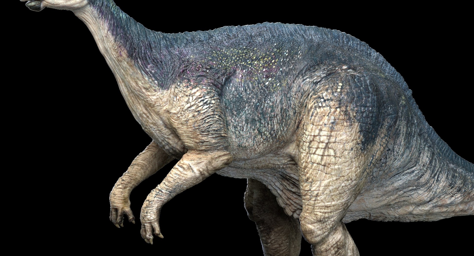 Realistic Rig Model - TurboSquid 1420699