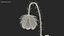 3D poppy flower plant bud